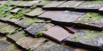 Theale roof repair costs